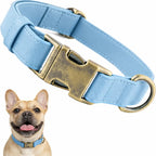 Waterproof Dog Collar That Doesn'T Smell Soft Silicone with Strong Metal Buckle