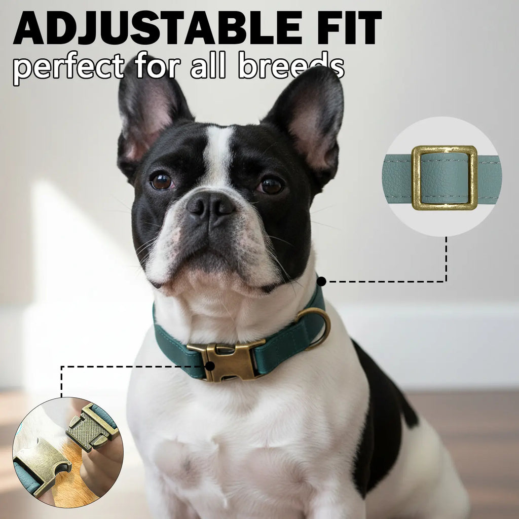 Waterproof Dog Collar That Doesn'T Smell Soft Silicone with Strong Metal Buckle