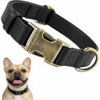 Waterproof Dog Collar That Doesn'T Smell Soft Silicone with Strong Metal Buckle