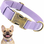 Waterproof Dog Collar That Doesn'T Smell Soft Silicone with Strong Metal Buckle