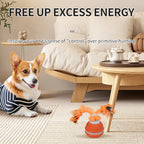 Smart Rolling Ball Toy for Dogs, Indoor Training Ball, Electric Pet Stimulation & Fun, Durable Bite-Resistant Design, Ideal for Boredom Relief